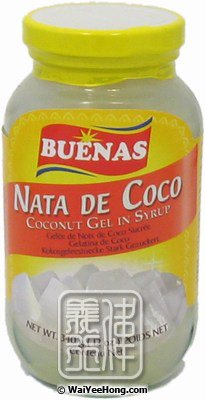 Nata De Coco Coconut Gel In Syrup (糖水椰果 (白色)) - Click Image to Close