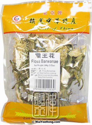 Floss Barwanae (Barwang Flower) (東亞 霸王花) - Click Image to Close