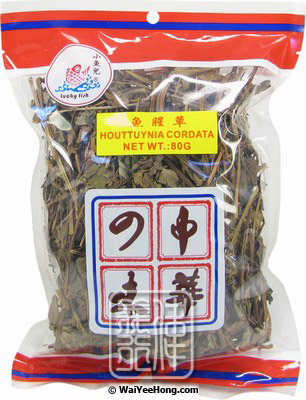 Houttuynia Cordata (Fish Mint) (小魚兒魚腥草) - Click Image to Close