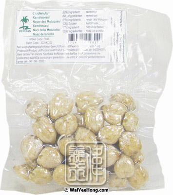 Candlenuts (Kemiri) (石栗) - Click Image to Close