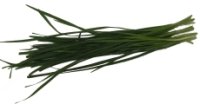 Chinese Chives