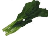 Choi Sum