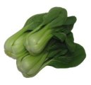 Green Pak Choi