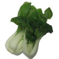 Pak Choi