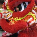 Chinese Lion Dance, Feb 2008