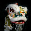 Chinese New Year - Lion Dance