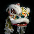 Lion Dance Costume