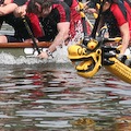 Dragon Boat Race