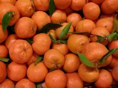 Mandarin Oranges