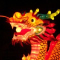 Chinese Year of the Dragon