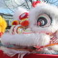 Cute Lion Dance