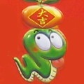Year of the Snake