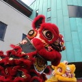 Traditional Chinese Lion Dance