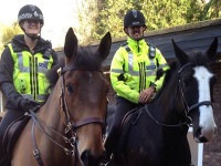 © AS Police Horses