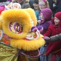 Chinese New Year of the Horse