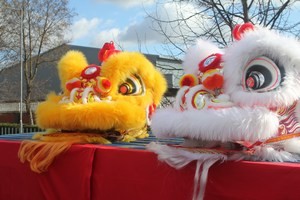 Chinese Lion Dance Costumes