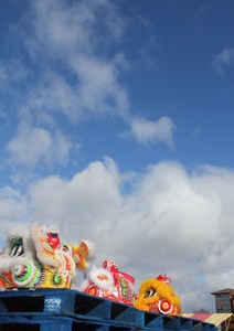 Lion Dance Costumes - Waiting to be awakened!