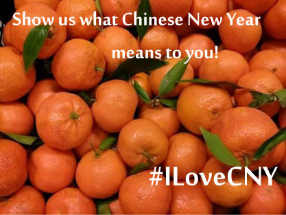 What does Chinese New Year mean to you?