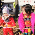 Lunar (Chinese) New Year 2025, Bristol