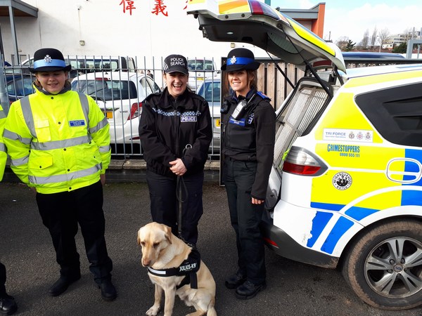 Avon & Somerset Police Dog and Handler